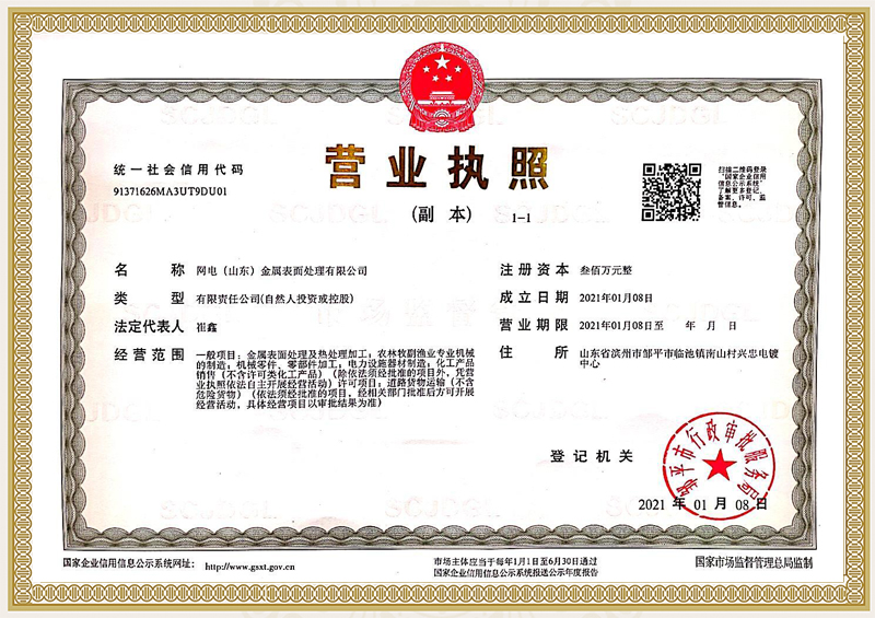 網電（山東）金屬表面處理有限公司
